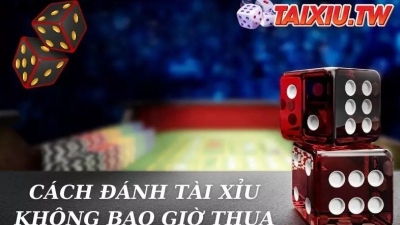 Cách đánh tài xỉu không bao giờ thua, dễ dàng chiến thắng