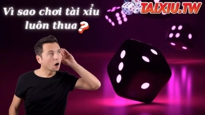 Vì sao chơi tài xỉu luôn thua - Những sai lầm cần tránh